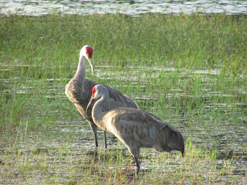 Copyright infringement is a serious crime. Please don't do it.